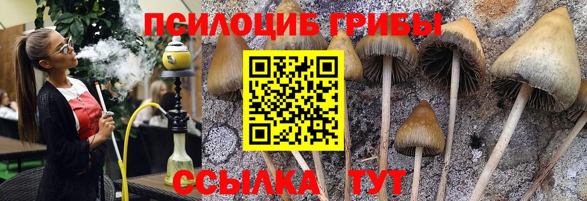 Галлюциногенные грибы мухоморы  Галлюциногенные грибы мицелий  Полысаево  Вход с VPN 